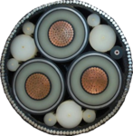 Cable Coin image